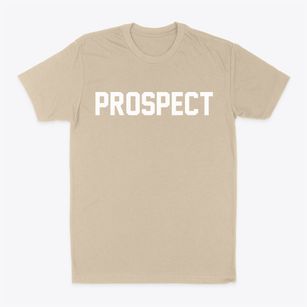 Prospect Pennsylvania Classic Block Classic Dad T-Shirt
