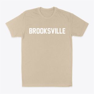 Brooksville Florida Classic Block Classic Dad T-Shirt