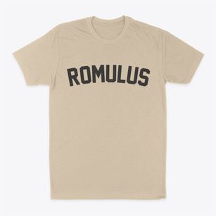 Romulus New York Classic Curve Classic Dad T-Shirt