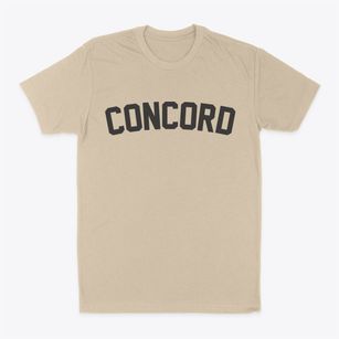 Concord North Carolina Classic Curve Classic Dad T-Shirt