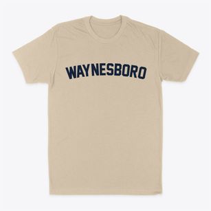 Waynesboro Georgia Classic Curve Classic Dad T-Shirt