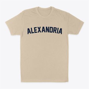 Alexandria Louisiana Classic Curve Classic Dad T-Shirt
