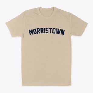 Morristown New York Classic Curve Classic Dad T-Shirt