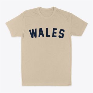 Wales Massachusetts Classic Curve Classic Dad T-Shirt