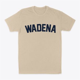 Wadena Iowa Classic Curve Classic Dad T-Shirt