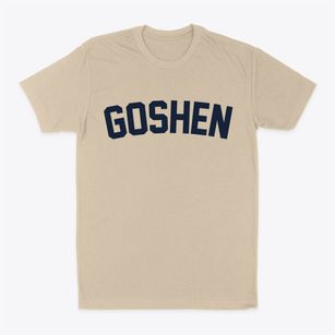 Goshen New York Classic Curve Classic Dad T-Shirt