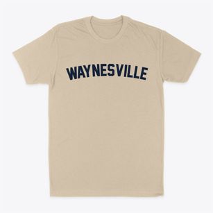 Waynesville North Carolina Classic Curve Classic Dad T-Shirt