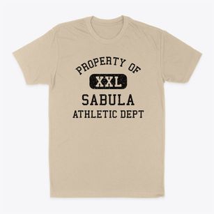 Sabula Iowa Athletic Dept Classic Dad T-Shirt