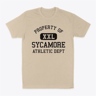Sycamore Illinois Athletic Dept Classic Dad T-Shirt
