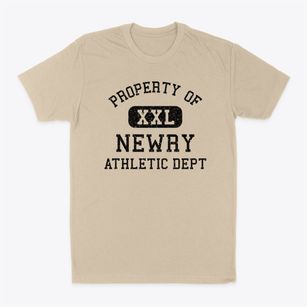 Newry Maine Athletic Dept Classic Dad T-Shirt