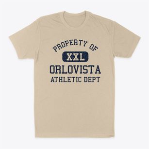Orlovista Florida Athletic Dept Classic Dad T-Shirt