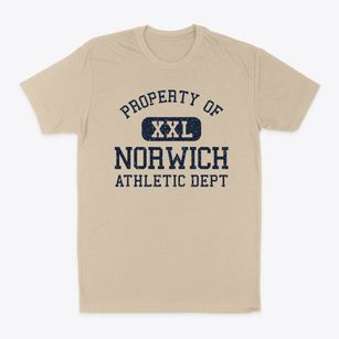 Norwich Ohio Athletic Dept Classic Dad T-Shirt