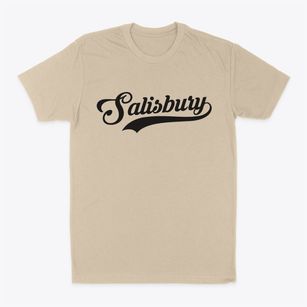 Salisbury Maryland Vintage Team Classic Dad T-Shirt