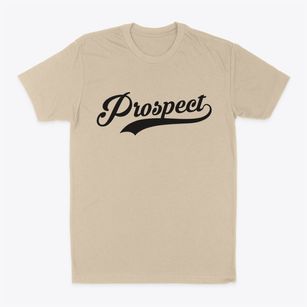 Prospect Maine Vintage Team Classic Dad T-Shirt
