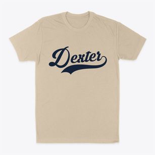 Dexter Michigan Vintage Team Classic Dad T-Shirt