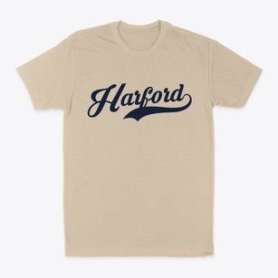 Harford New York Vintage Team Classic Dad T-Shirt