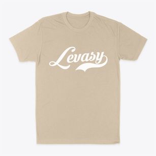 Levasy Missouri Vintage Team Classic Dad T-Shirt