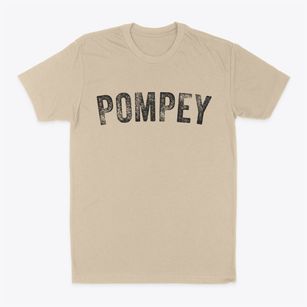 Pompey New York Timeless Retro Classic Dad T-Shirt