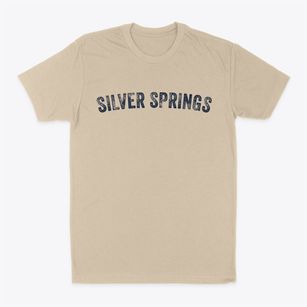 Silver Springs New York Timeless Retro Classic Dad T-Shirt