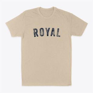 Royal Illinois Timeless Retro Classic Dad T-Shirt