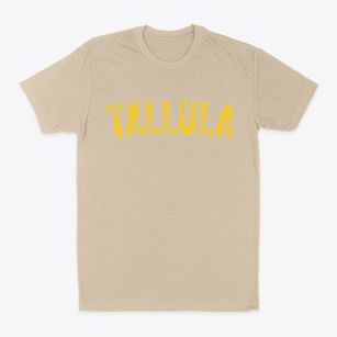 Tallula Illinois Timeless Retro Classic Dad T-Shirt