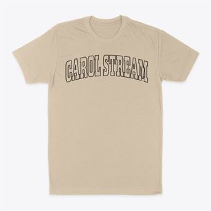 Carol Stream Illinois Trendy Block Classic Dad T-Shirt