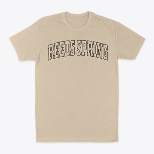 Reeds Spring Missouri Trendy Block Classic Dad T-Shirt