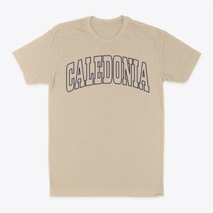 Caledonia New York Trendy Block Classic Dad T-Shirt