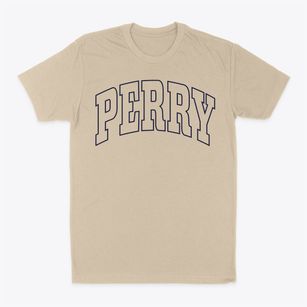 Perry Arkansas Trendy Block Classic Dad T-Shirt