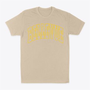 Bellevue Texas Trendy Block Classic Dad T-Shirt