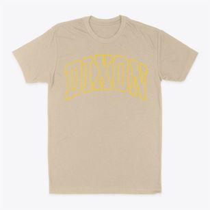 Dixon Illinois Trendy Block Classic Dad T-Shirt