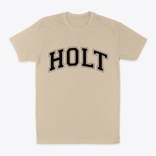 Holt Michigan Varsity Classic Dad T-Shirt