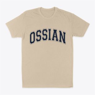 Ossian New York Varsity Classic Dad T-Shirt