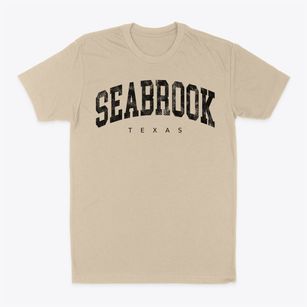 Seabrook Texas Urban Vibe Classic Dad T-Shirt