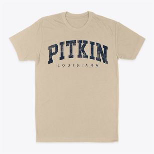 Pitkin Louisiana Urban Vibe Classic Dad T-Shirt