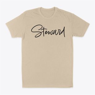 Steward Illinois Freestyle Classic Dad T-Shirt