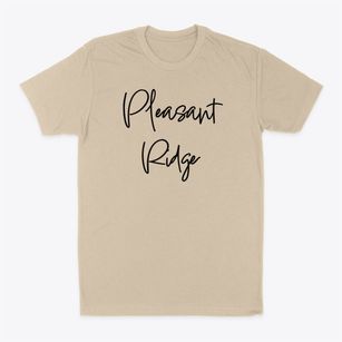 Pleasant Ridge New York Freestyle Classic Dad T-Shirt