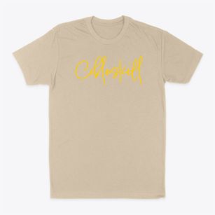 Cobleskill New York Freestyle Classic Dad T-Shirt
