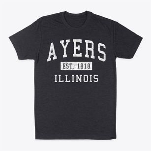 Ayers Illinois Classic Established Classic Dad T-Shirt