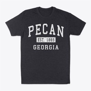 Pecan Georgia Classic Established Classic Dad T-Shirt