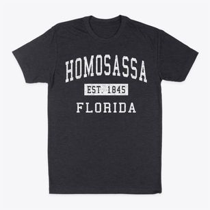 Homosassa Florida Classic Established Classic Dad T-Shirt