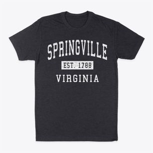 Springville Virginia Classic Established Classic Dad T-Shirt