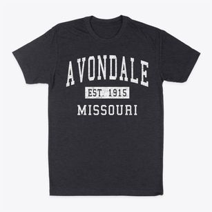 Avondale Missouri Classic Established Classic Dad T-Shirt