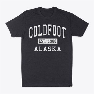 Coldfoot Alaska Classic Established Classic Dad T-Shirt