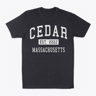 Cedar Massachusetts Classic Established Classic Dad T-Shirt