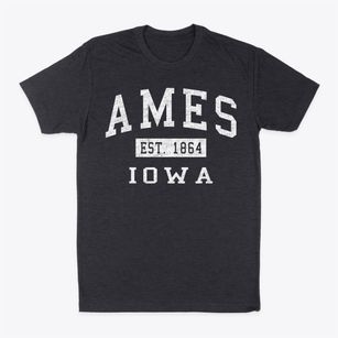 Ames Iowa Classic Established Classic Dad T-Shirt