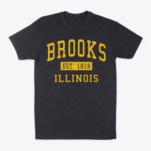Brooks Illinois Classic Established Classic Dad T-Shirt