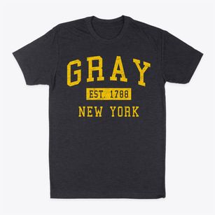 Gray New York Classic Established Classic Dad T-Shirt