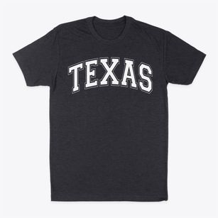Texas Empowerment Academy Varsity Arch Classic Dad T-Shirt
