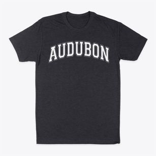 Audubon Middle School Varsity Arch Classic Dad T-Shirt